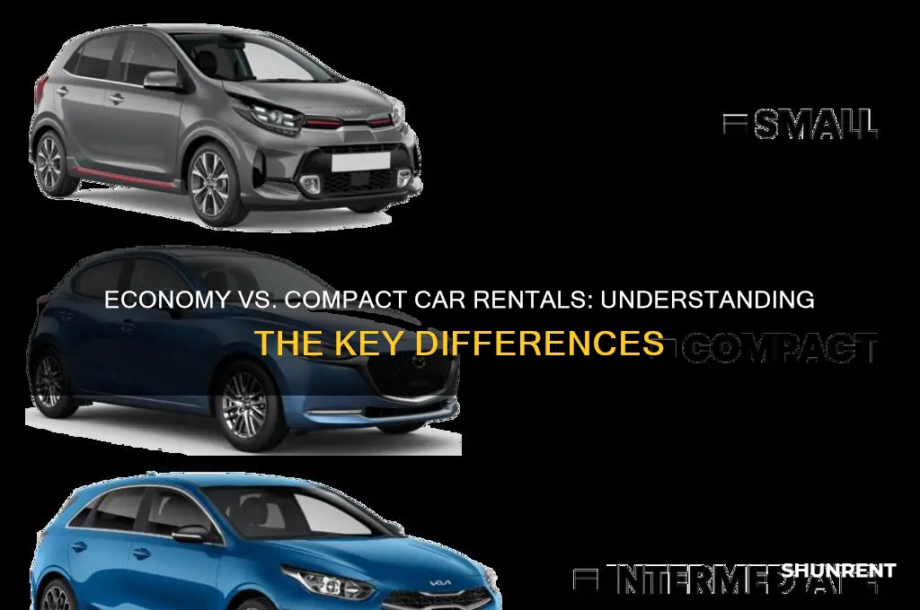 what is the difference between renting economy or compact