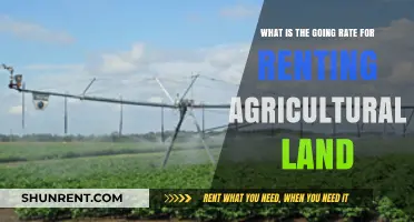 Current Agricultural Land Rental Rates: What Farmers Should Know