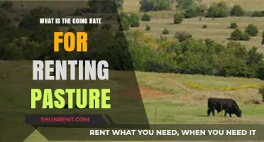 Current Pasture Rental Rates: Understanding Costs for Grazing Land