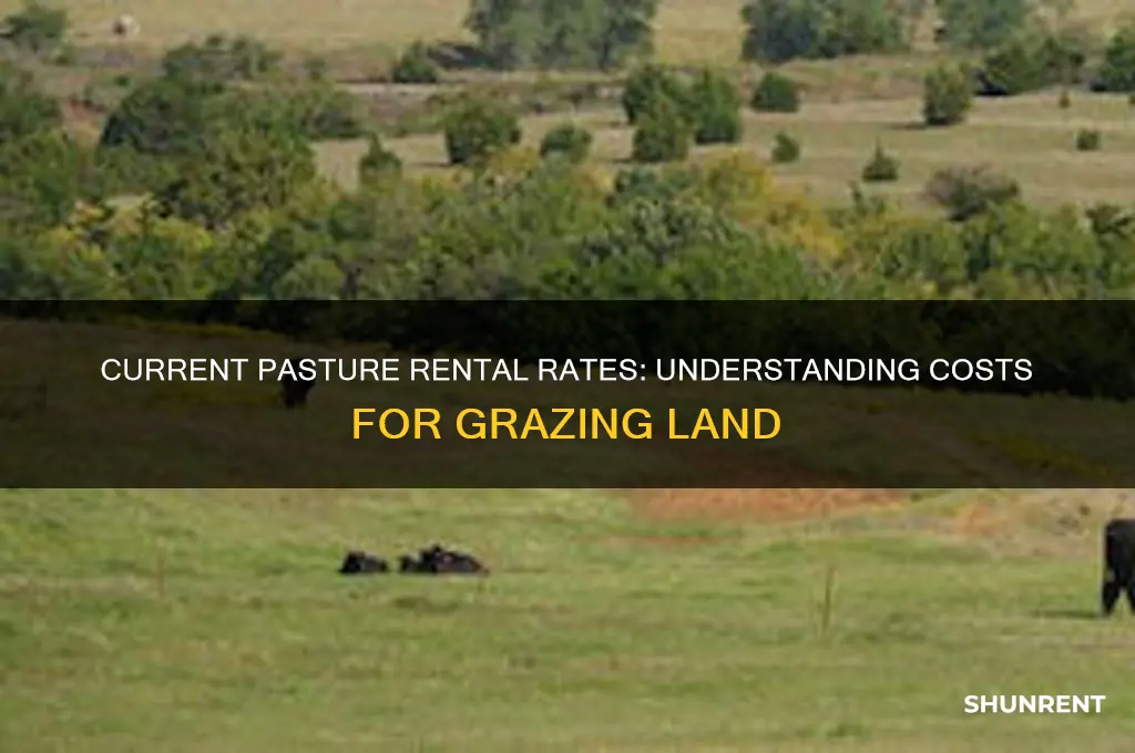 what is the going rate for renting pasture