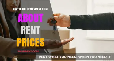 Government Action on Rent Prices: Policies and Solutions Explained