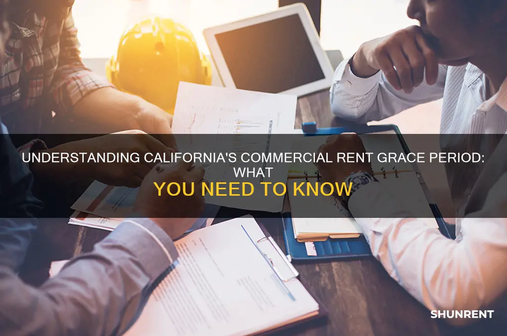 what is the grace period for commercial rent in california