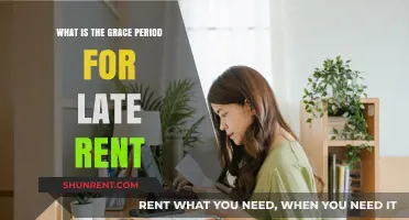 Understanding the Grace Period for Late Rent Payments: What You Need to Know