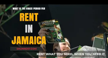 Understanding Jamaica's Rent Grace Period: Rules, Rights, and Responsibilities