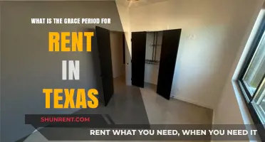Understanding Texas Rent Grace Period: What Tenants Need to Know