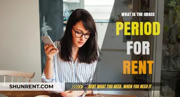 Understanding the Grace Period for Rent Payments: A Tenant's Guide
