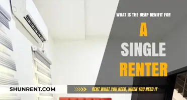 Heap Benefits: How Single Renters Can Save on Utility Bills