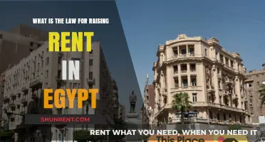 Understanding Egypt's Rent Increase Laws: A Comprehensive Guide for Landlords and Tenants
