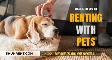 Renting with Pets: Understanding Your Legal Rights and Responsibilities