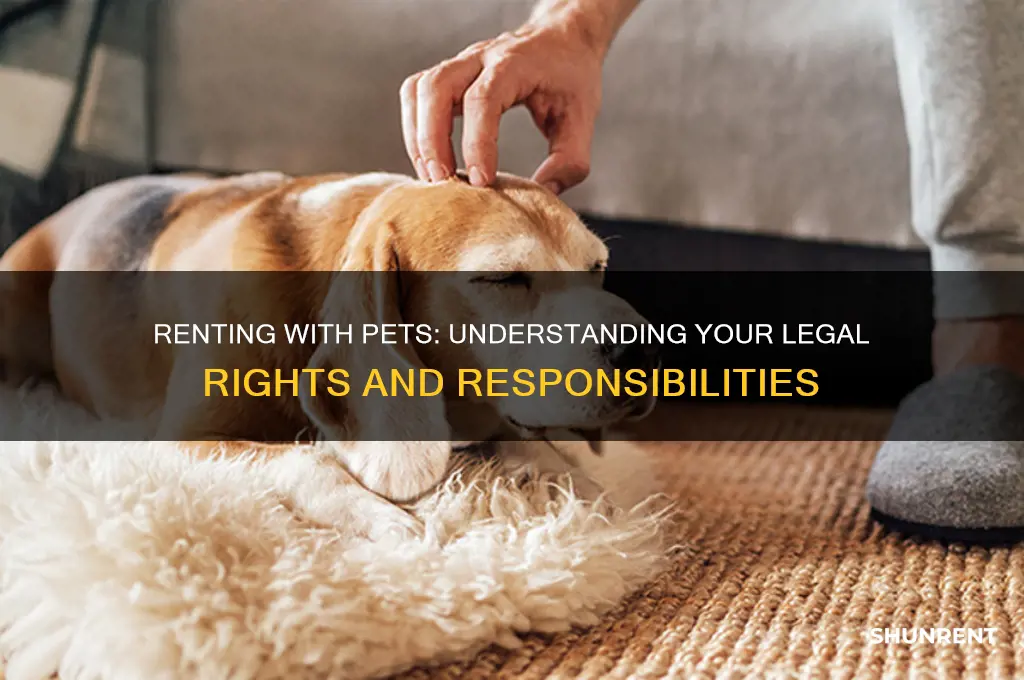 what is the law on renting with pets