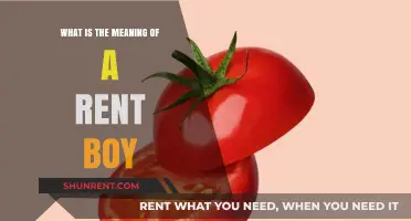 Understanding the Term 'Rent Boy': Origins, Implications, and Societal Views