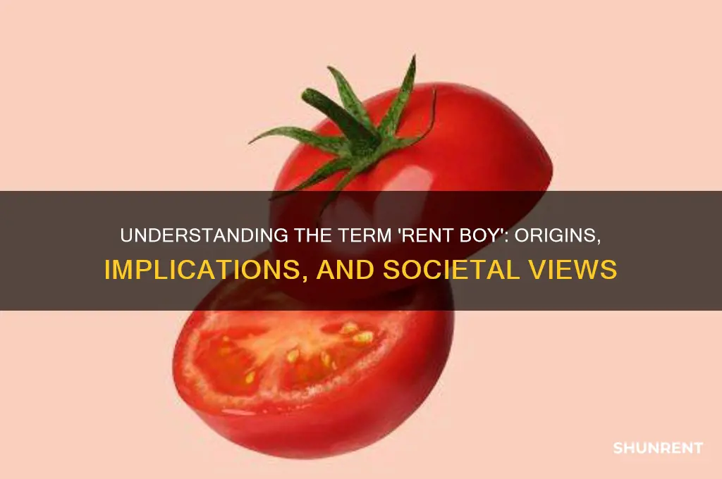 what is the meaning of a rent boy