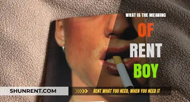 Understanding the Term 'Rent Boy': A Comprehensive Explanation