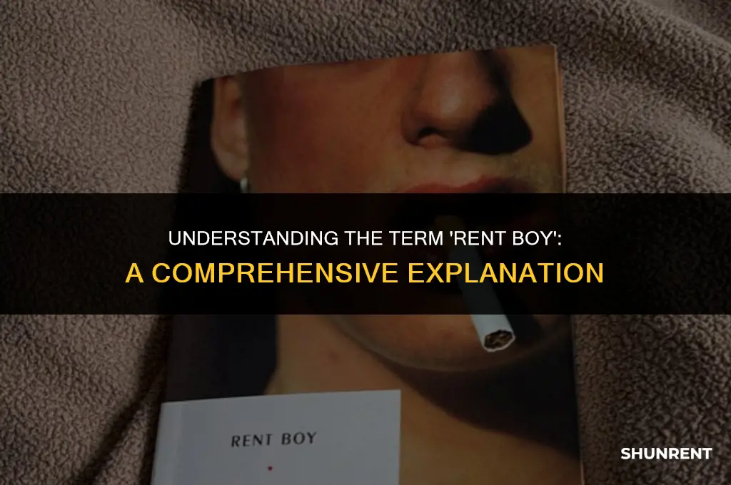 what is the meaning of rent boy