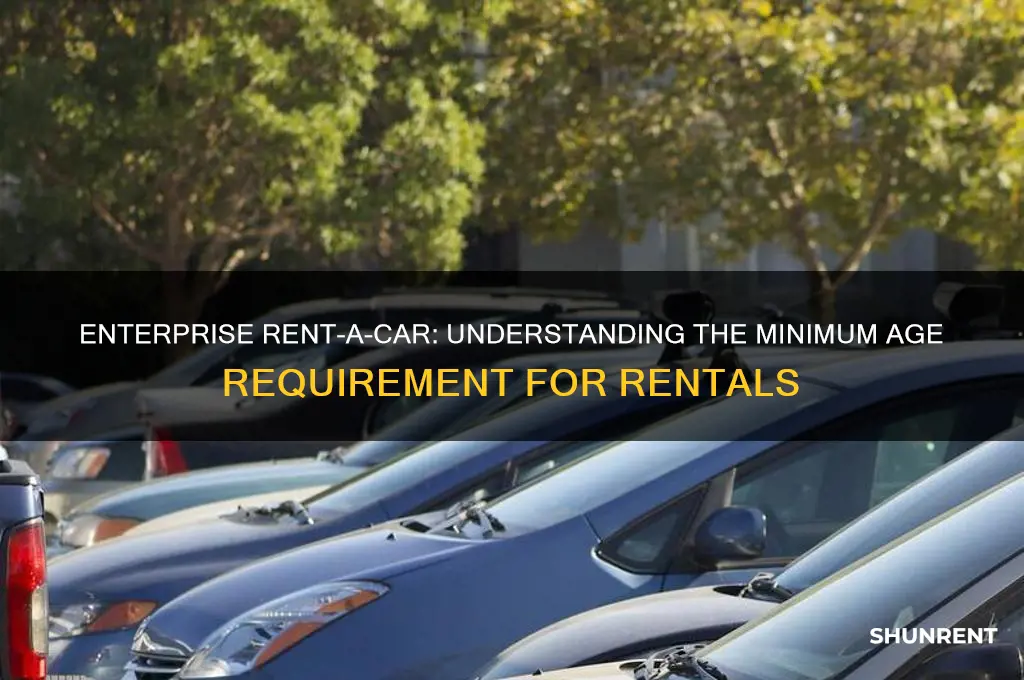 what is the minimum age llimit to rent from enterprise
