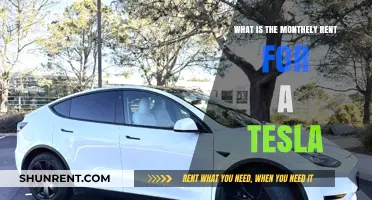 Monthly Tesla Rental Costs: What to Expect for Your Budget