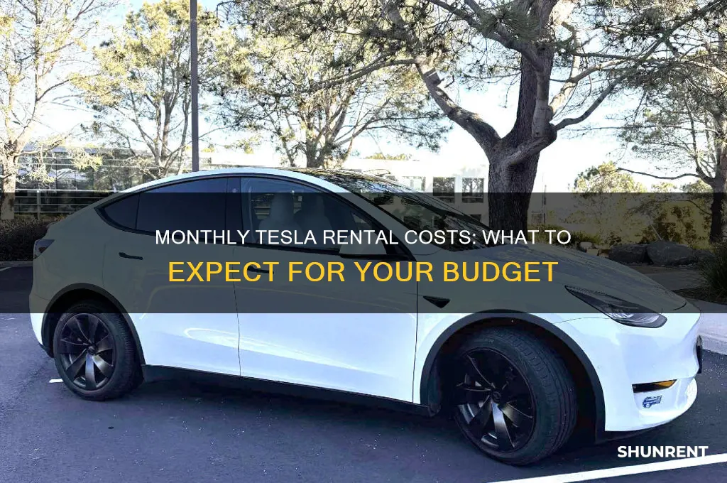 what is the monthely rent for a tesla