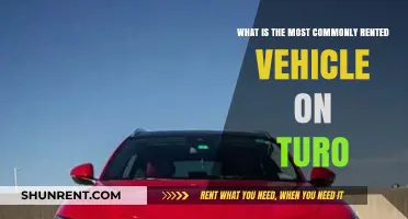 Top Turo Rental: Most Popular Vehicle Types and Trends Revealed