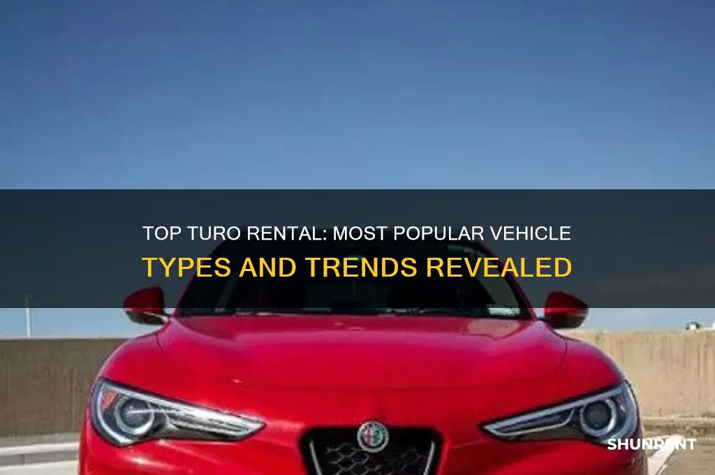 what is the most commonly rented vehicle on turo