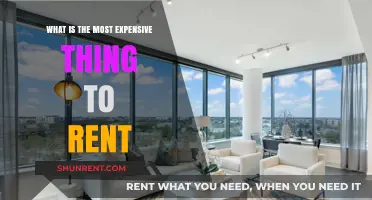 The Most Expensive Rental Items: Luxury Costs and Surprising Prices