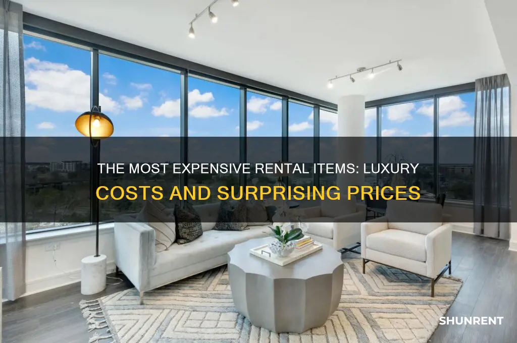 what is the most expensive thing to rent