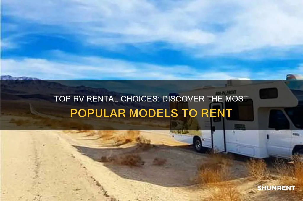 what is the most popular rv to rent