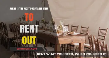 Maximize Passive Income: Top Profitable Rental Items to Invest In