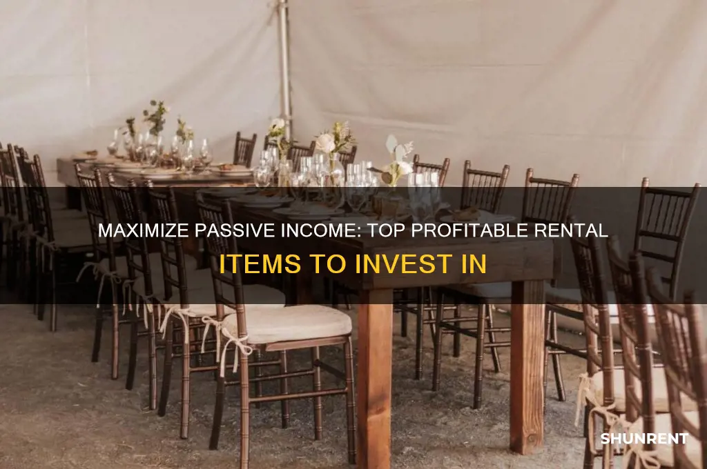 what is the most profitable item to rent out