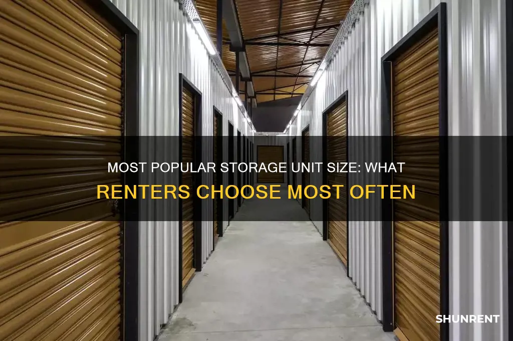 what is the most rented storage unit size