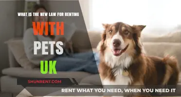 UK's New Pet-Friendly Rental Law: What Landlords & Tenants Need to Know