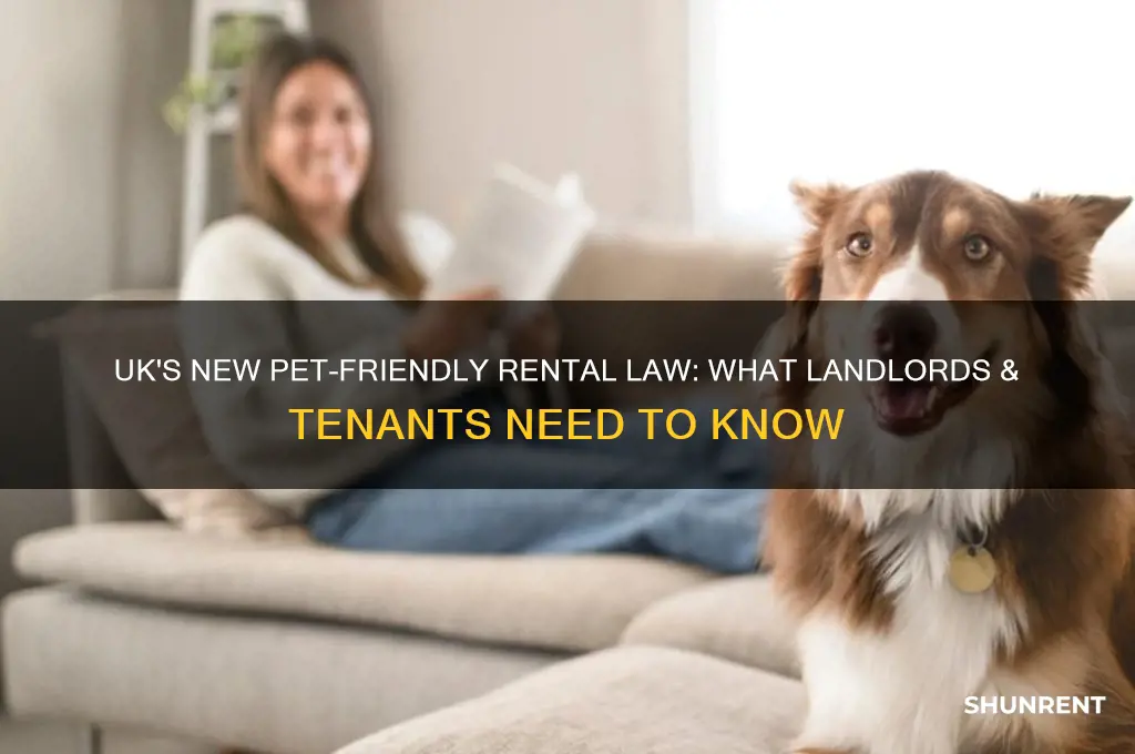 what is the new law for renting with pets uk