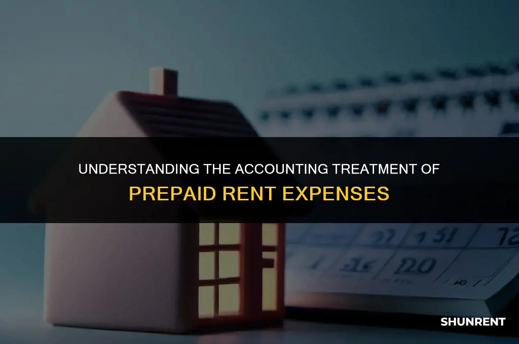 what is the offset for prepaid rent