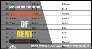 Understanding the Past Tense and Past Participle of Rent