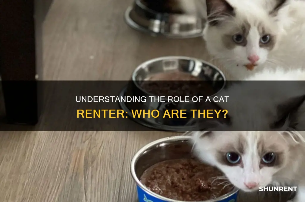 what is the person who rent the cat