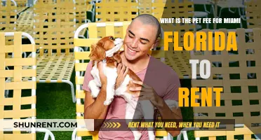 Miami Pet Fee Guide: What Renters Need to Know