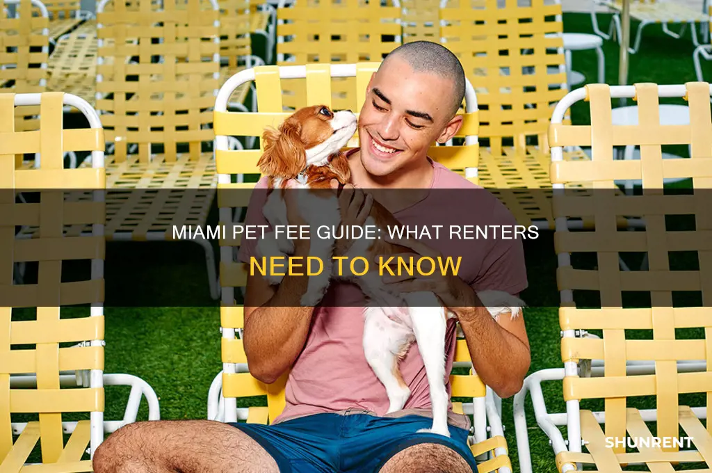 what is the pet fee for miami florida to rent