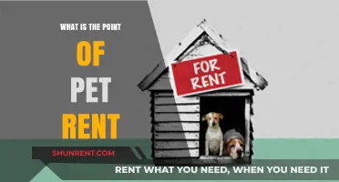 Understanding Pet Rent: Is It Worth the Extra Cost?