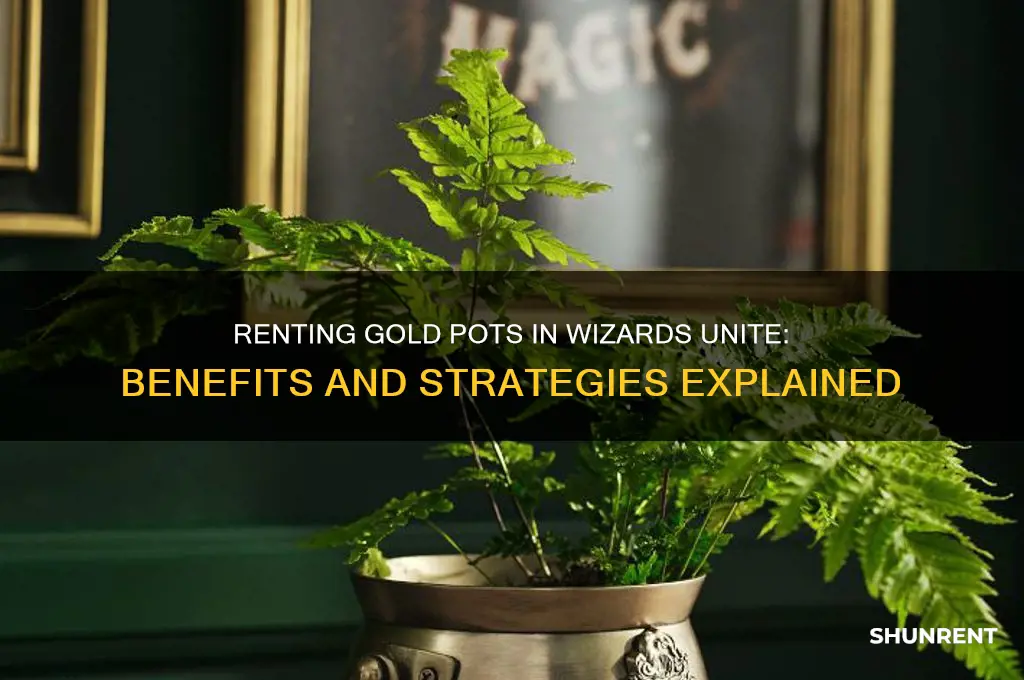 what is the point of renting gold pot wizards unite