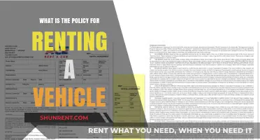 Understanding Vehicle Rental Policies: A Comprehensive Guide for Renters