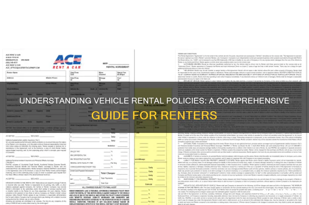 what is the policy for renting a vehicle