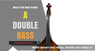 How Much Does It Cost to Rent a Double Bass?