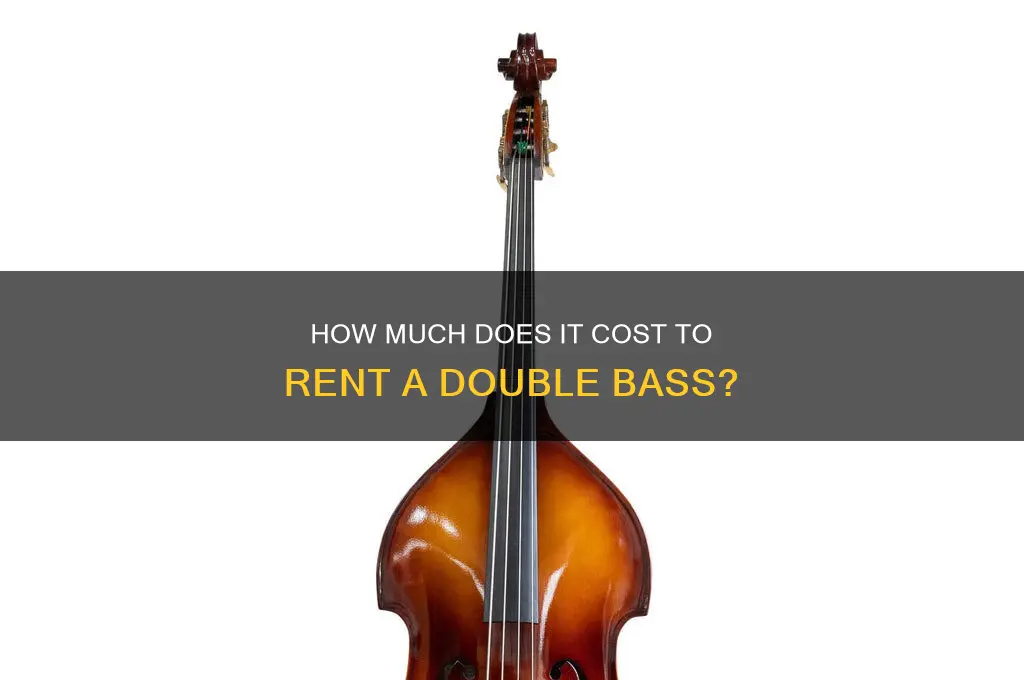 what is the price to rent a double bass