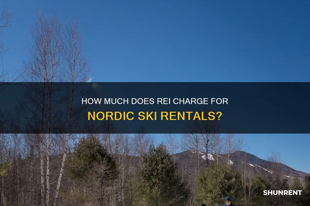 what is the price to rent nordic skis from rei