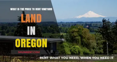Oregon Vineyard Land Rental Costs: What to Expect for Leasing