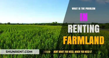 The Hidden Costs of Renting Farmland: A Growing Concern
