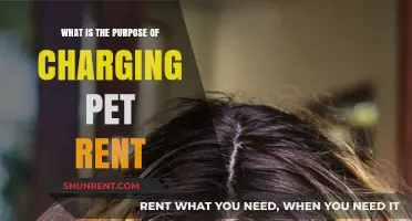 Why Pet Rent Exists: Understanding Its Purpose and Impact on Renters