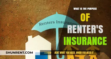 Understanding Renter's Insurance: Protecting Your Belongings and Liability