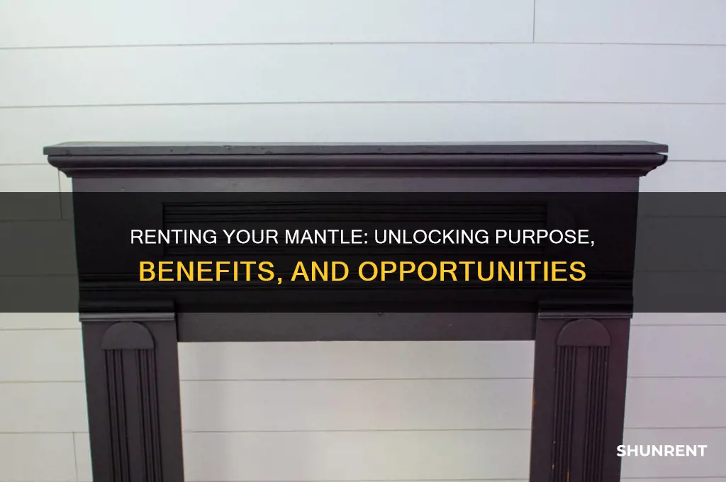 what is the purpose of renting one