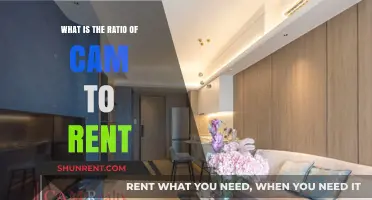 Understanding the Optimal Cam-to-Rent Ratio for Budget-Conscious Renters