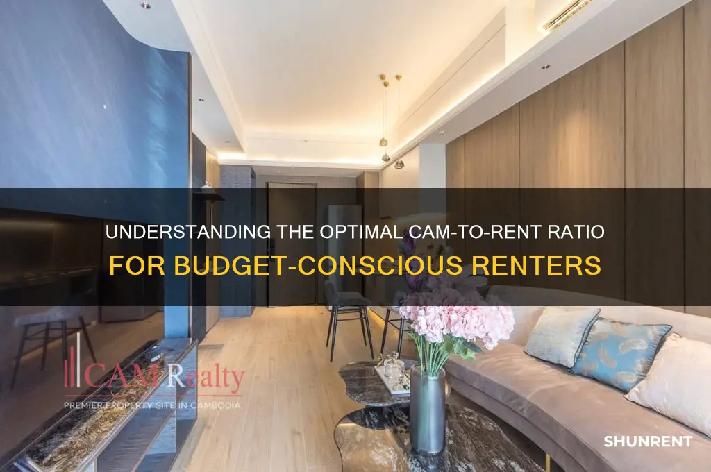 what is the ratio of cam to rent